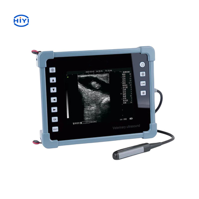 HiYi Veterinär Ultraschall CHY8 Professionelles Digitales B-Ultraschall Diagnosegerät für Rinder Ziege Schwein Pferd Hund