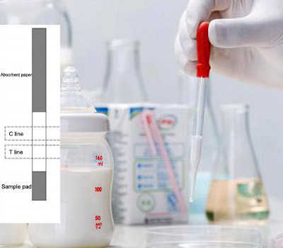 2-8 antibiotische Test-Streifen ℃ Rohmilch-Chinolon Entdeckungs-einfacher Gebrauch